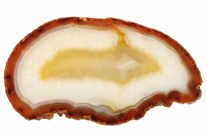 Polished, Banded Agate Slab - Brazil #279577